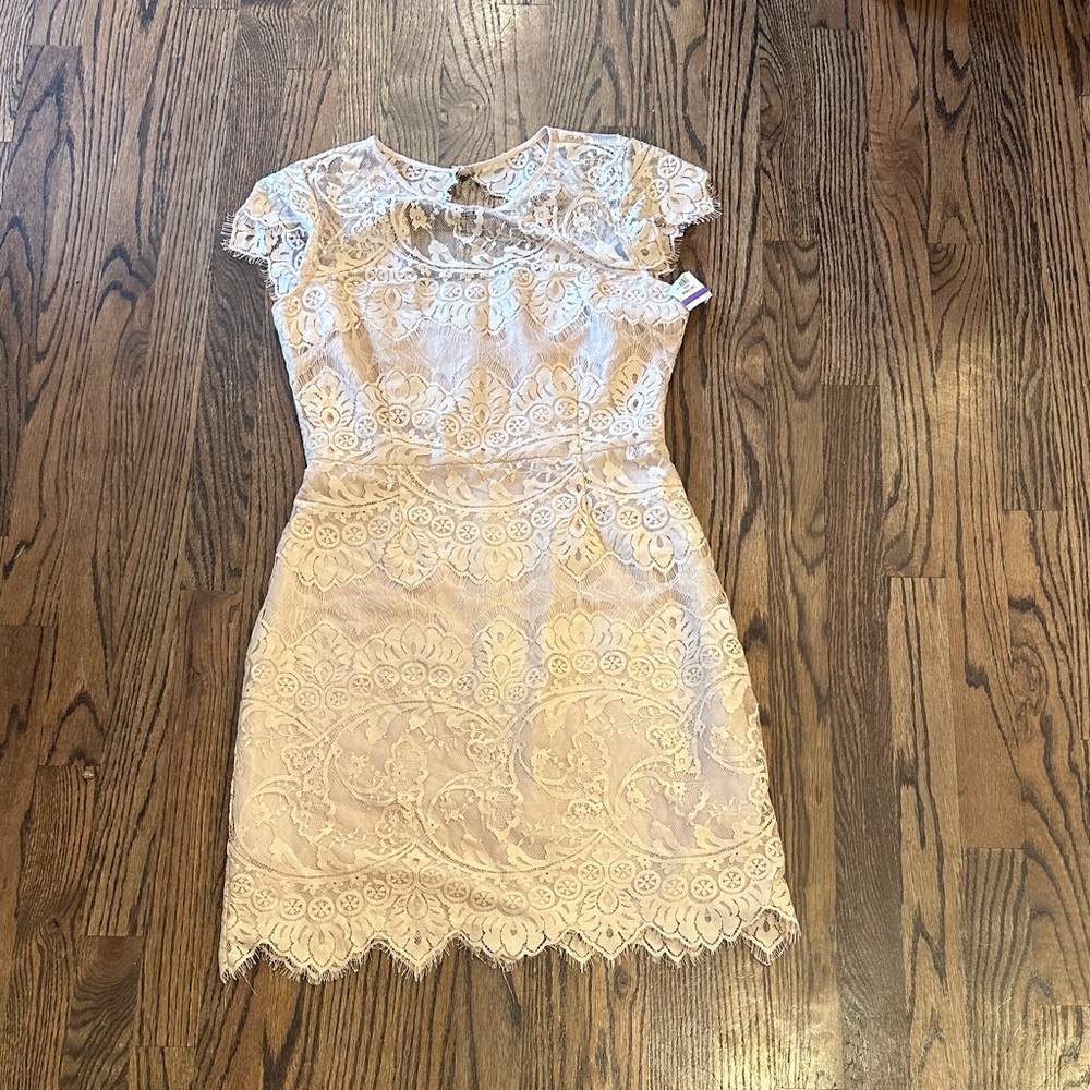 BB Dakota Cream Lace Mini Dress